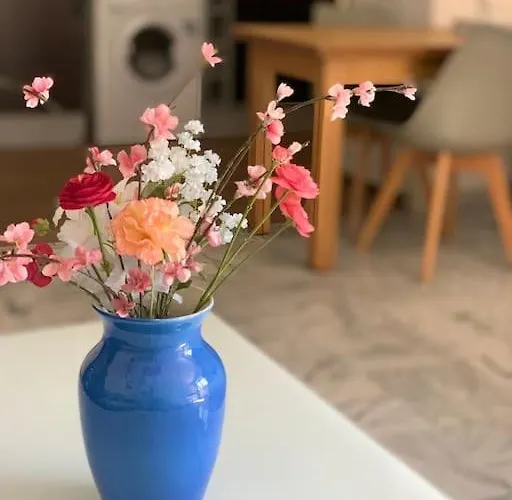 Bel Centre Centre Proche Casino *