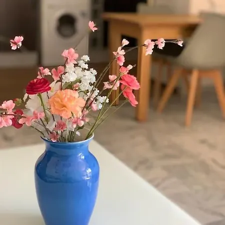 Bel Centre Centre Proche Casino *